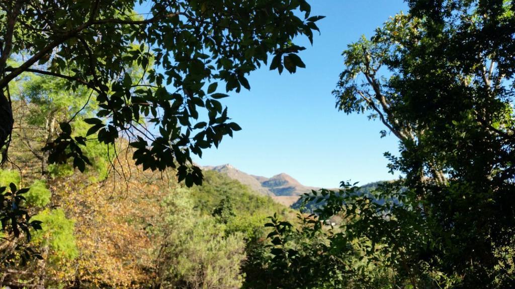 Berg Treat Villa Champagne Valley Rom bilde